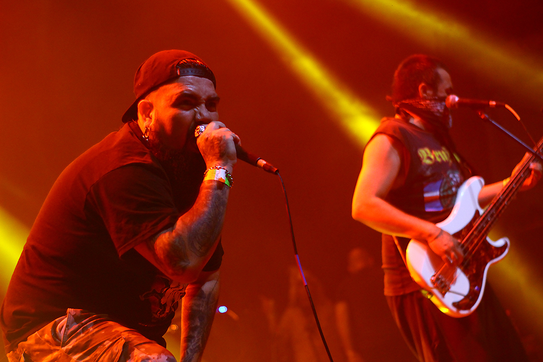 Gutalax: Cacofonía de Grind, Papel Higiénico y Descontrol